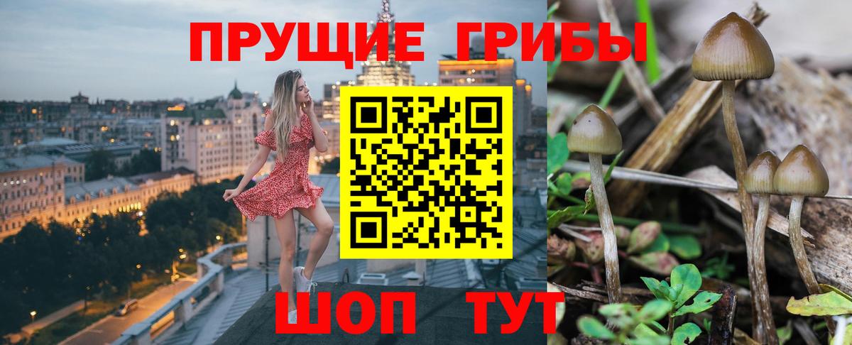 Псилоцибиновые грибы Magic Shrooms Железногорск