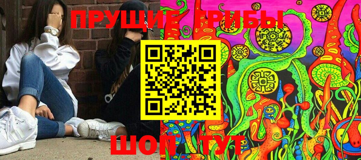 наркотики  Псилоцибиновые грибы мухоморы  Вход с VPN  Железногорск  Псилоцибиновые грибы ЛСД 